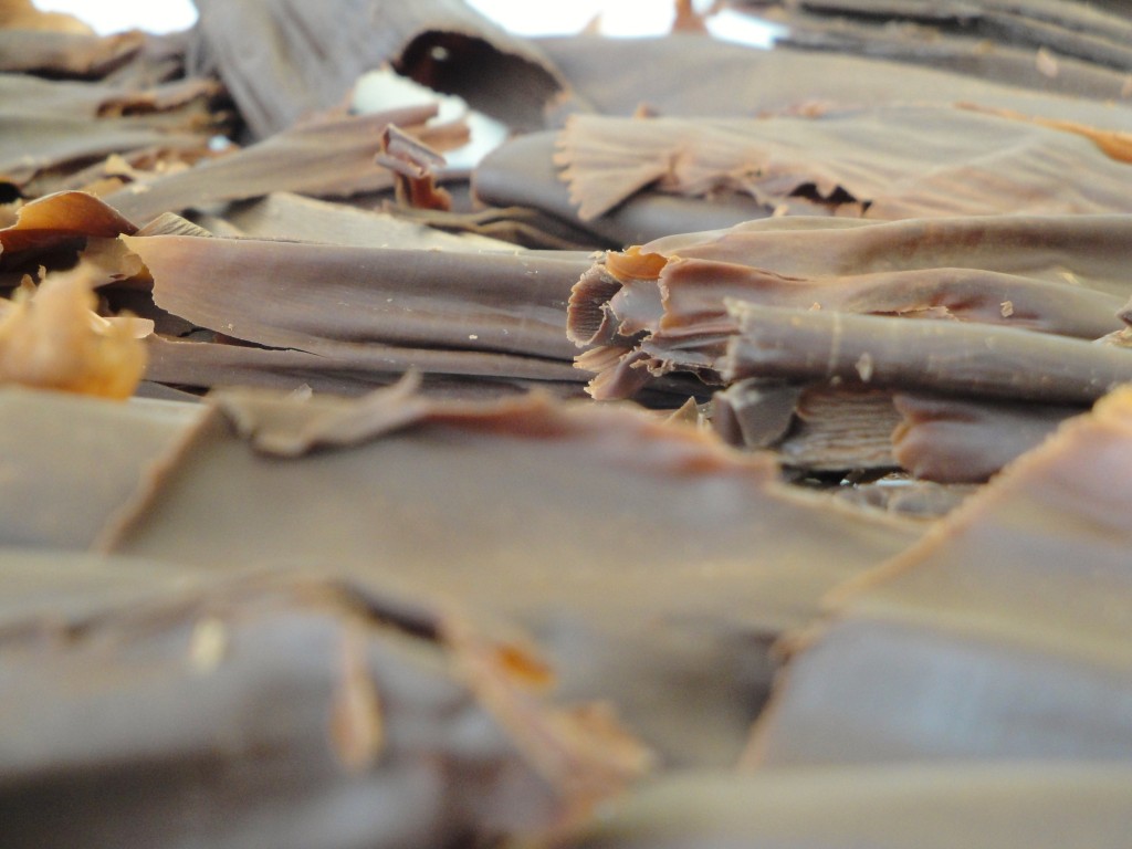 Tempered chocolate