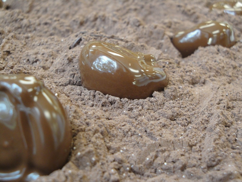 truffles in cocoa powder