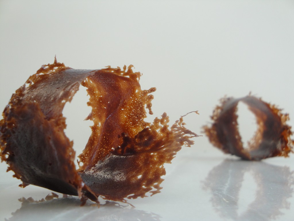 chocolate caramel tuile